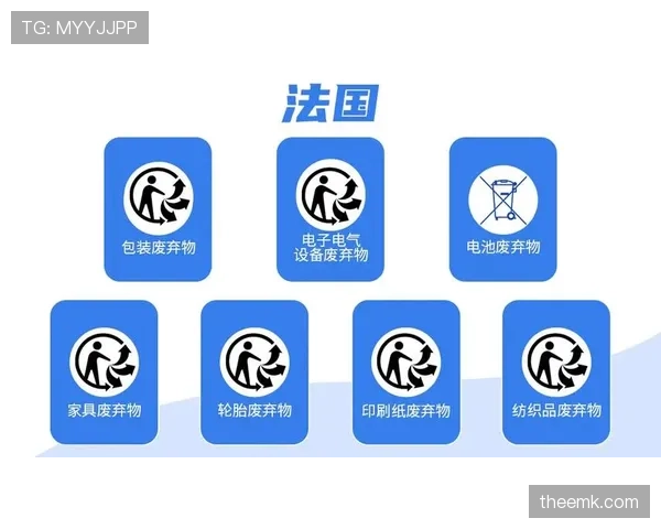 青少年足球规则中关键判罚标准与比赛适用细则详解